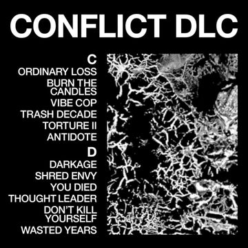 CONFLICT DLC | VINYL RECORD (LP)