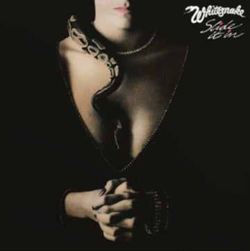 SLIDE IT IN | VINYL RECORD (LP)