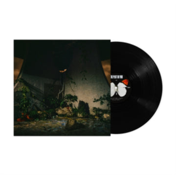 THE PLOT IN YOU (X) | VINYL RECORD (LP)