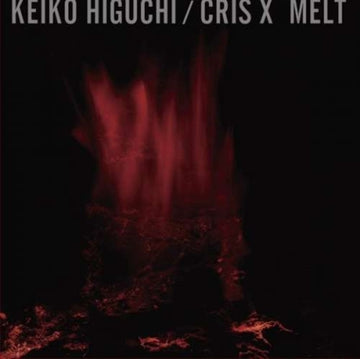 KEIKO HIGUCHI | MELT | CD