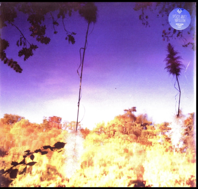 DISCO ANTI NAPOLEON | ASCENT | VINYL RECORD (LP)