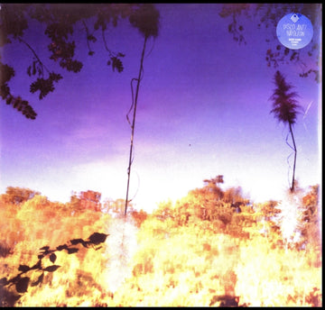 DISCO ANTI NAPOLEON | ASCENT | VINYL RECORD (LP)