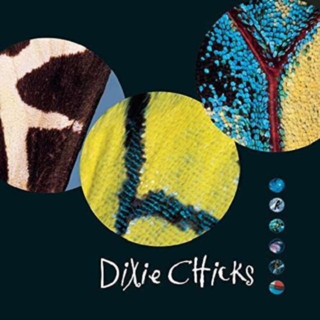 CHICKS | FLY | VINYL RECORD (LP)