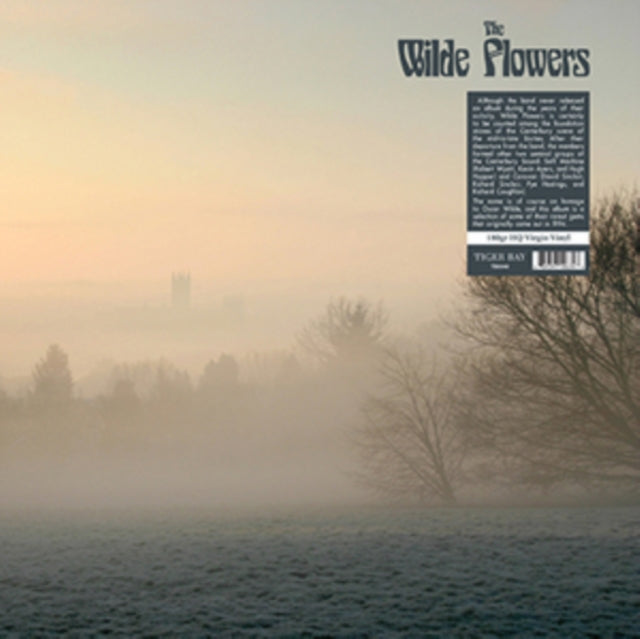 WILDE FLOWERS | WILDE FLOWERS (180G) | VINYL RECORD (LP)