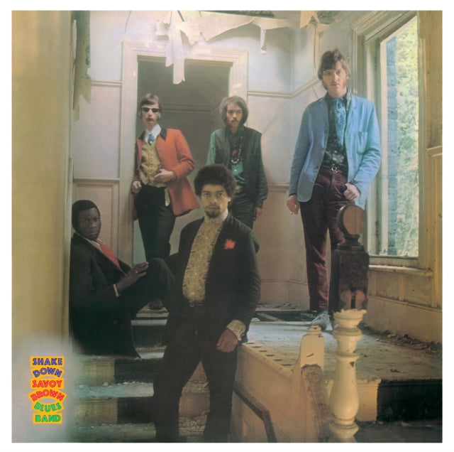 BIRDS | RONNIE WOOD'S BIRDS (45RPM) | VINYL RECORD (LP)