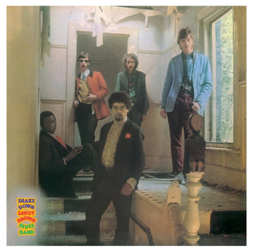 BIRDS | RONNIE WOOD'S BIRDS (45RPM) | VINYL RECORD (LP)