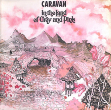 IN THE LAND OF GREY & PINK (BONUS TRACKS) | VINYL RECORD (LP)