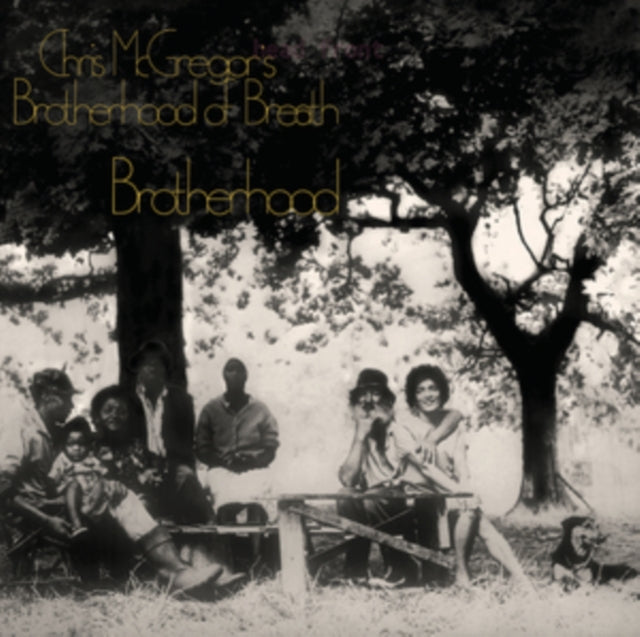 MCGREGOR, CHRIS BROTHERHOOD OF BREATH | BROTHERHOOD (COLOURED VINYL) | VINYL RECORD (LP)