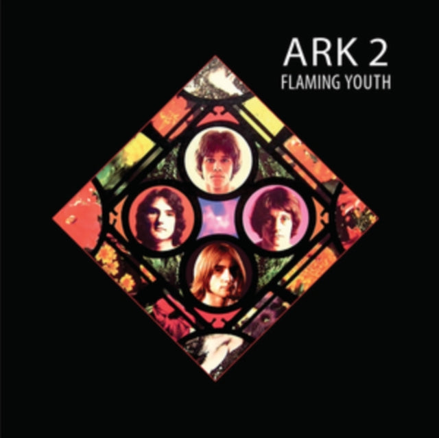YOUTH, FLAMING | ARK 2 (COLOURED VINYL) | VINYL RECORD (LP)