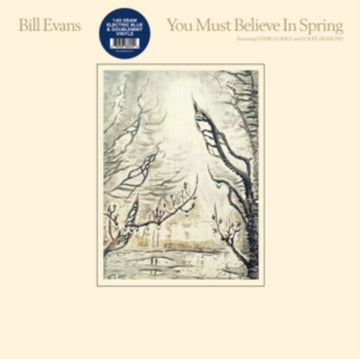 YOU MUST BELIEVE IN SPRING | VINYL RECORD (LP)