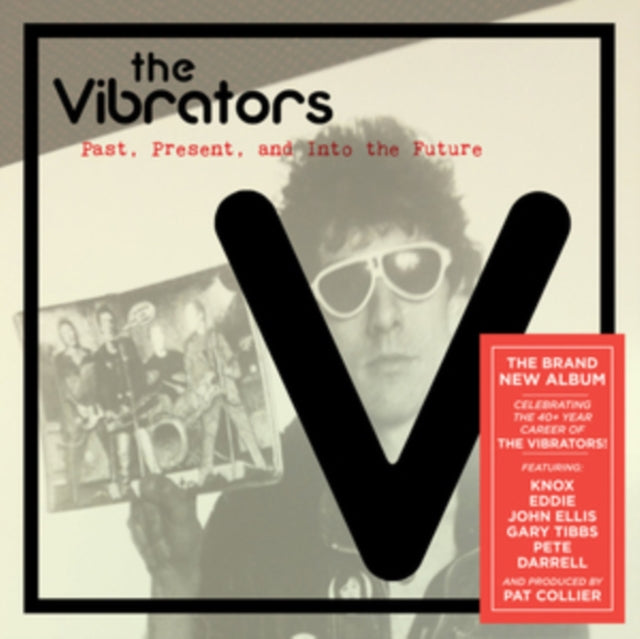 VIBRATORS | PAST, PRESENT & INTO THE FUTURE | VINYL RECORD (LP)