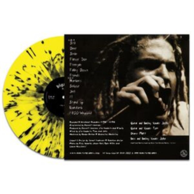 BIGWIG | STAY ASLEEP (YELLOW/BLACK SPLATTER VINYL) | VINYL RECORD (LP)