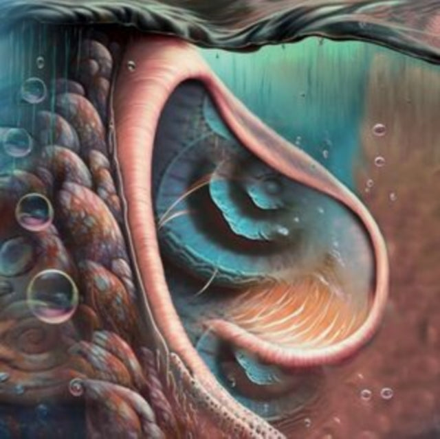 JYRKI 69 | MEDDLE REIMAGINED - TRIBUTE TO PINK FLOYD (GREEN VINYL) | VINYL RECORD (LP)
