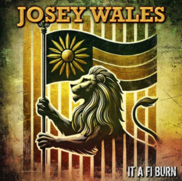 IT A FI BURN | VINYL RECORD (LP)