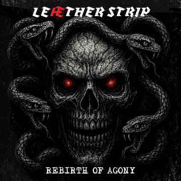 REBIRTH OF AGONY (SILVER VINYL) | VINYL RECORD (LP)