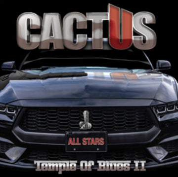TEMPLE OF BLUES II - ALL-STARS | VINYL RECORD (LP)