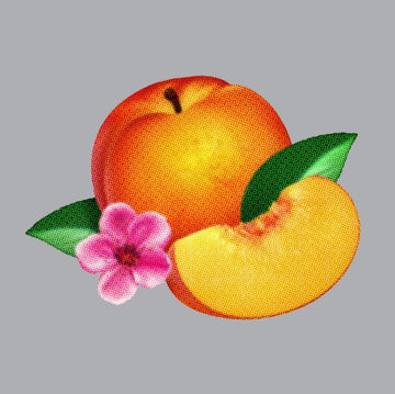 PHOENIX | BANKRUPT | VINYL RECORD (LP)
