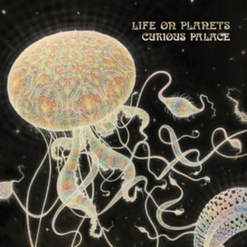 CURIOUS PALACE | VINYL RECORD (LP)