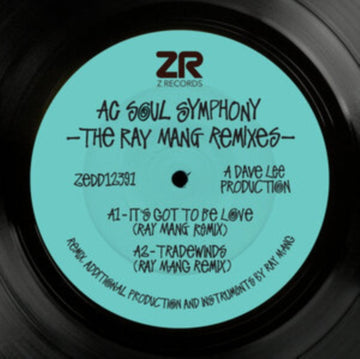 RAY MANG REMIXES | 12IN VINYL