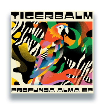 PROFUNDA ALMA (EP) | 12IN VINYL