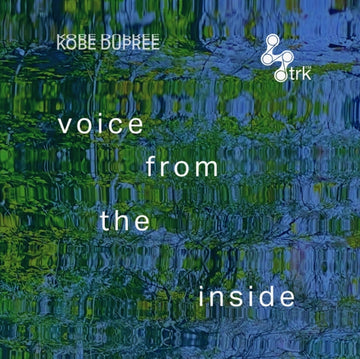 VOICE FROM THE INSIDE (2LP/LAVENDER & BLACK VINYL) | VINYL RECORD (LP)