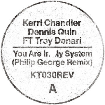 YOU ARE IN MY SYSTEM (PHILIP GEORGE REMIX) | 12IN VINYL