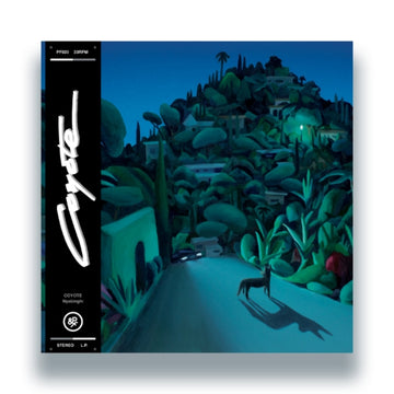 NYABINGHI (180G) | VINYL RECORD (LP)