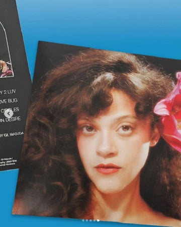 IN THE MOONLIGHT | VINYL RECORD (LP)