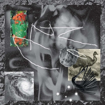 AFTERLIFE | VINYL RECORD (LP)