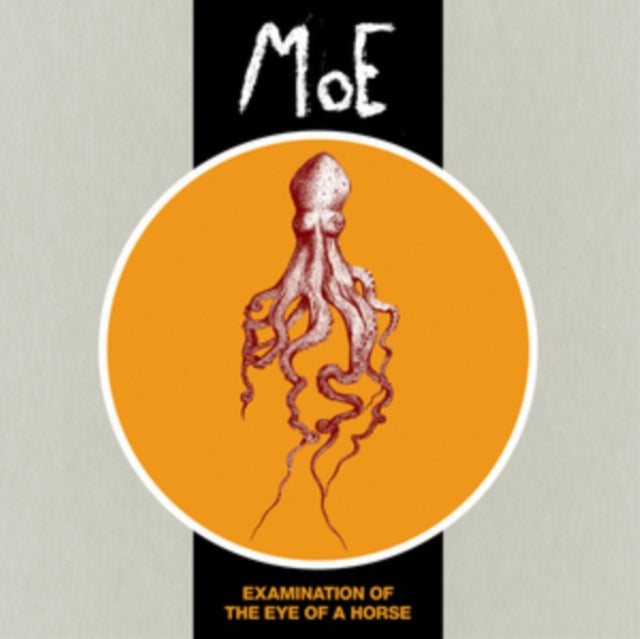 MOE | EXAMINATION OF THE EYE OF A HORSE | VINYL RECORD (LP)