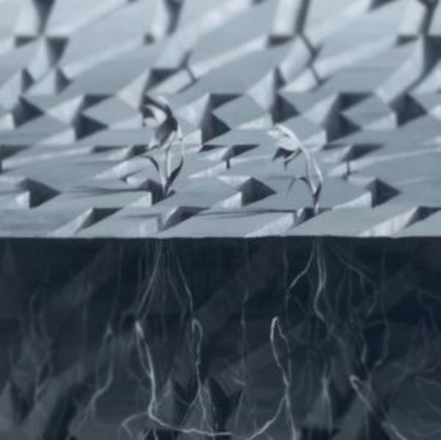 TIMOFEEV, VICTOR | EXOCURSION (IMPORT) | VINYL RECORD (LP)