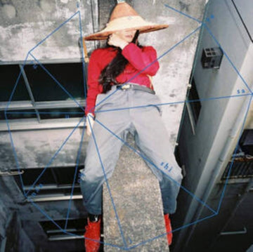 YASASHII HONYUURUI | VINYL RECORD (LP)