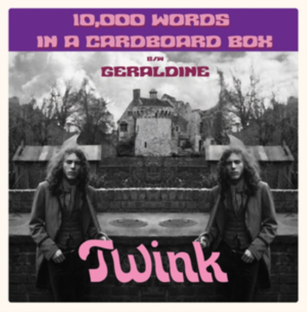 TWINK | 10,000 WORDS IN A CARDBOARD BOX | 7IN VINYL