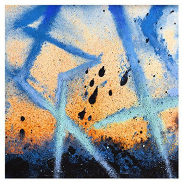 SUZI ECTO | VINYL RECORD (LP)