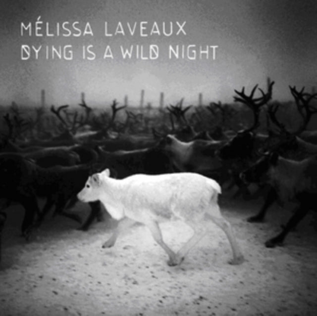 LAVEAUX, MELISSA | DYING IS A WILD NIGHT | VINYL RECORD (LP)