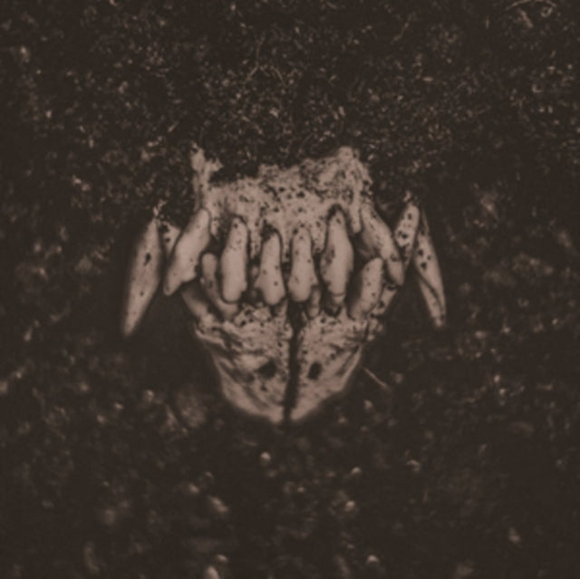 AMENRA | MASS I | VINYL RECORD (LP)