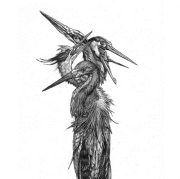 GRAND BLUE HERON | VINYL RECORD (LP)