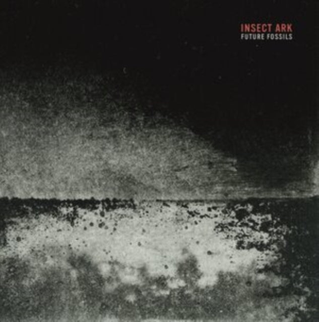 INSECT ARK | FUTURE FOSSILS | VINYL RECORD (LP)