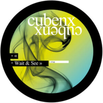 WAIT & SEE | VINYL RECORD (LP)