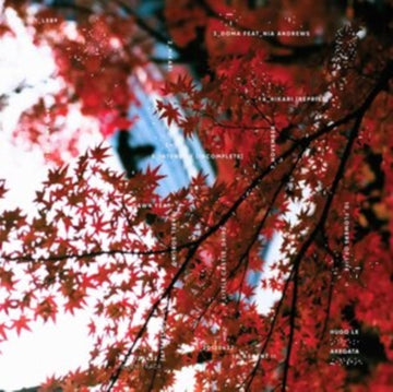 AKEGATA LP | VINYL RECORD (LP)