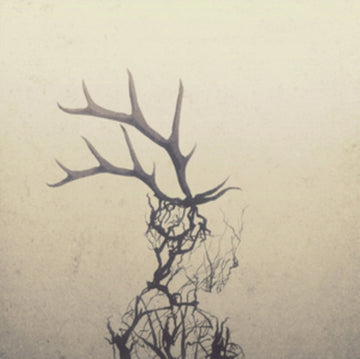 ANTELOPE | VINYL RECORD (LP)