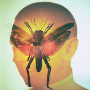 RHIZOME | VINYL RECORD (LP)
