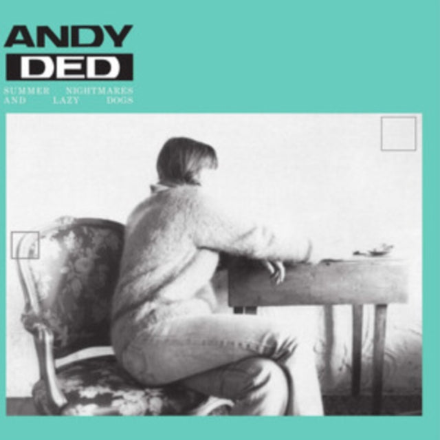 DED, ANDY | SUMMER NIGHTMARES & LAZY DOGS (INCL. TOLOUSE LOW TRAX REMIX) | 12IN VINYL