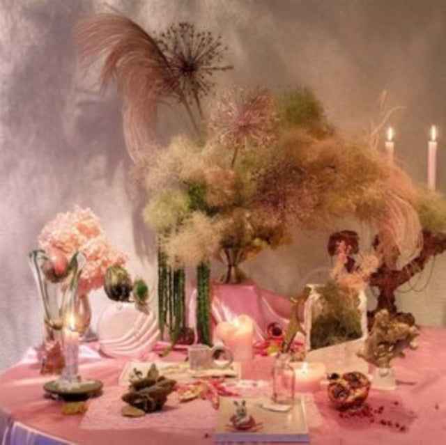 KATUCHAT | STILL LIFE | VINYL RECORD (LP)