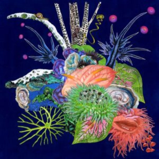 O'O | TOUCHE | VINYL RECORD (LP)