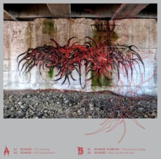 SCHACKE & ANETHA | LOOKS ARE DECEIVING | 12IN VINYL