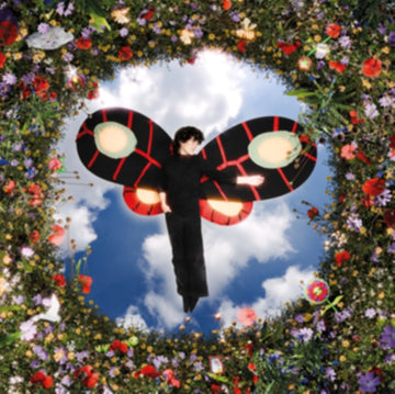 LES AILES | VINYL RECORD (LP)