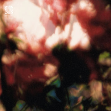 PEACE IS IT IN YOU? | VINYL RECORD (LP)