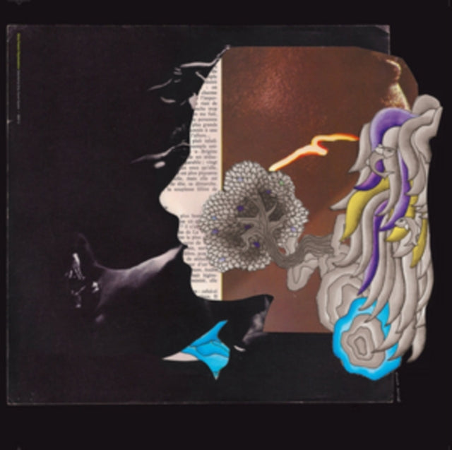 DIRTY SOUND SYSTEM | DIRTY FRENCH PSYCHEDELICS | VINYL RECORD (LP)