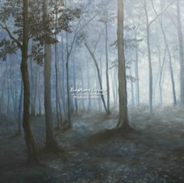 MELATONIN SPREE | VINYL RECORD (LP)